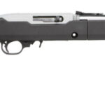 RUG 10/22 TD 22LR 10RD SS DE