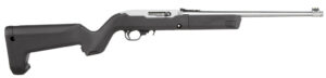 RUG 10/22 TD 22LR 10RD SS DE