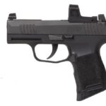 SIG SAUER P365 380ACP ZERO ELITE 10+1 #