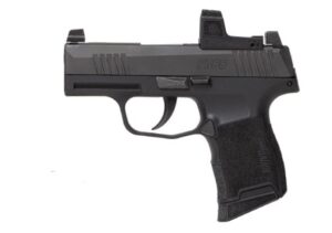 SIG SAUER P365 380ACP ZERO ELITE 10+1 #