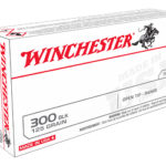 WIN USA 300BLK 125GR OT 20/200