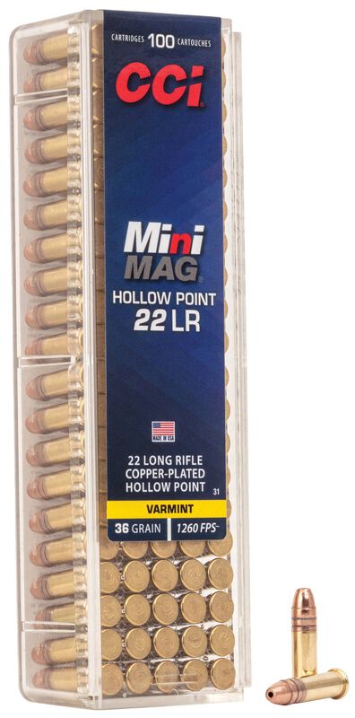 CCI Ammunition .22 LR HP – 100rd